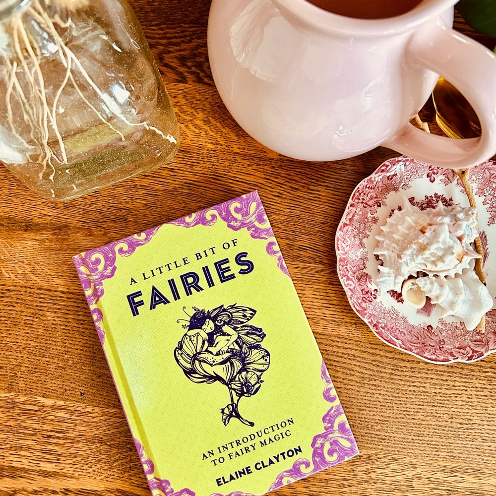A Little Bit of Fairies Book